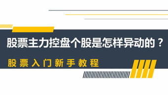 投资者教育咨询与企业管理 构建可持续投资新生态